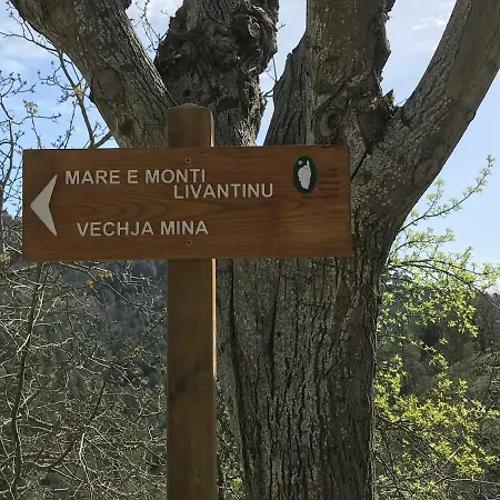 Holiday home Maison Entiere Equipe 4 Possibilite De 10 Couchage Centre Corse *