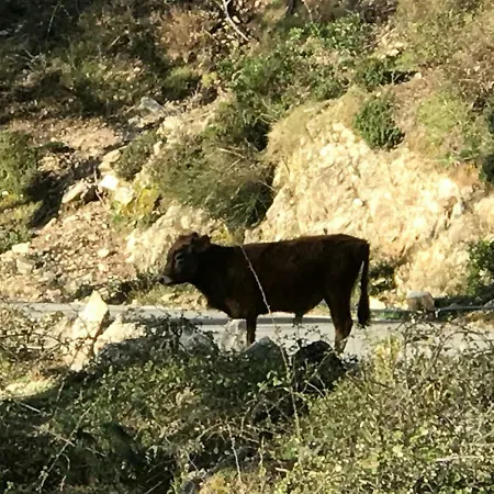 Maison Entière équipé 4 Possibilité De 10 Couchage Centre Corse *